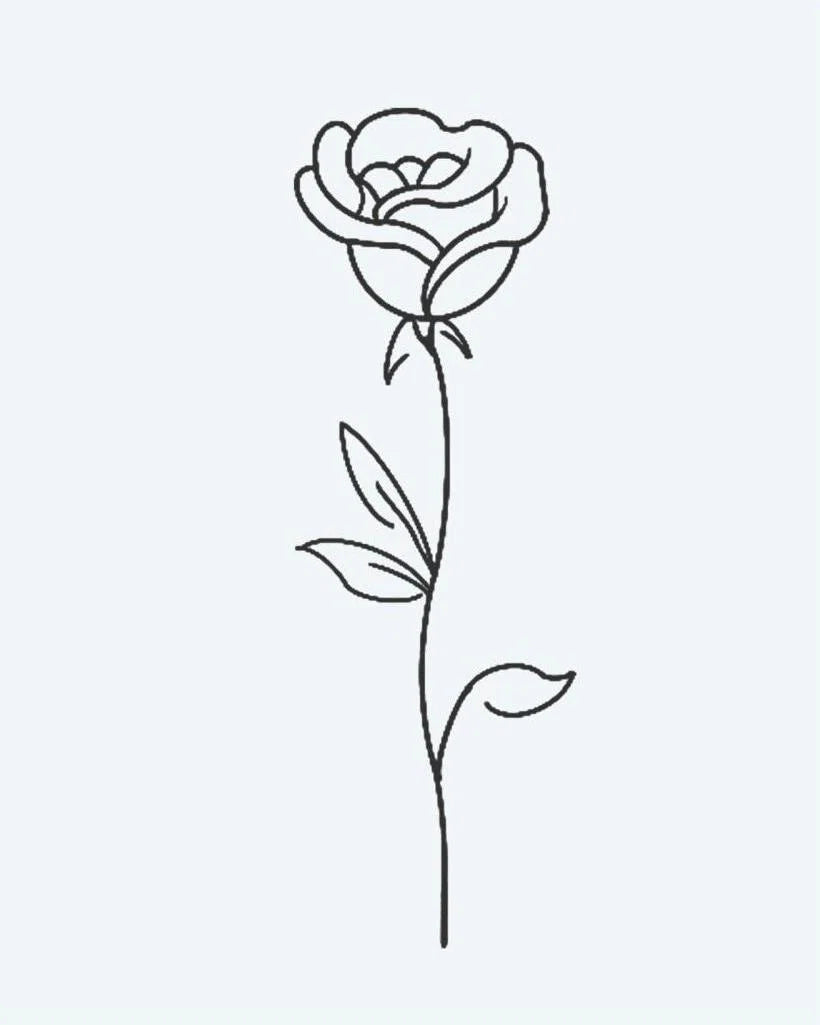 Single Rose