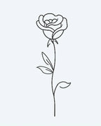 Single Rose