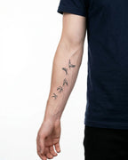 Flying Swallows