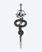 Serpent & Skull Dagger