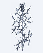 Thorny Branch