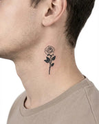 Single Stem Rose