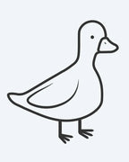 Little Duck