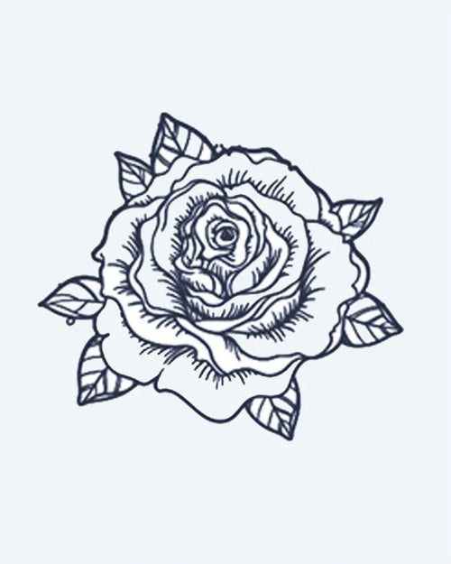 Blooming Rose