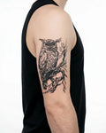 Owl on Branch