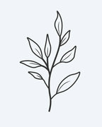 Leaf Branch