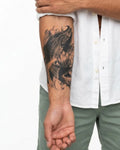 Koi Fish & Lotus