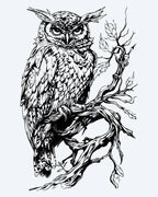 Owl on Branch