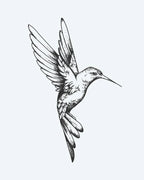 Hummingbird