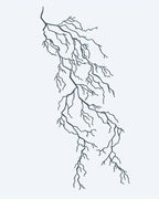 Lightning Bolt