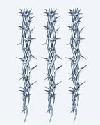 Thorn Vine Bands