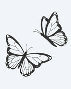 Butterfly Pair