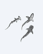 Three Sharks