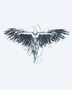 Dark Angel Wings