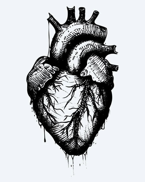Anatomical Heart