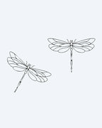 Dragonfly Duo