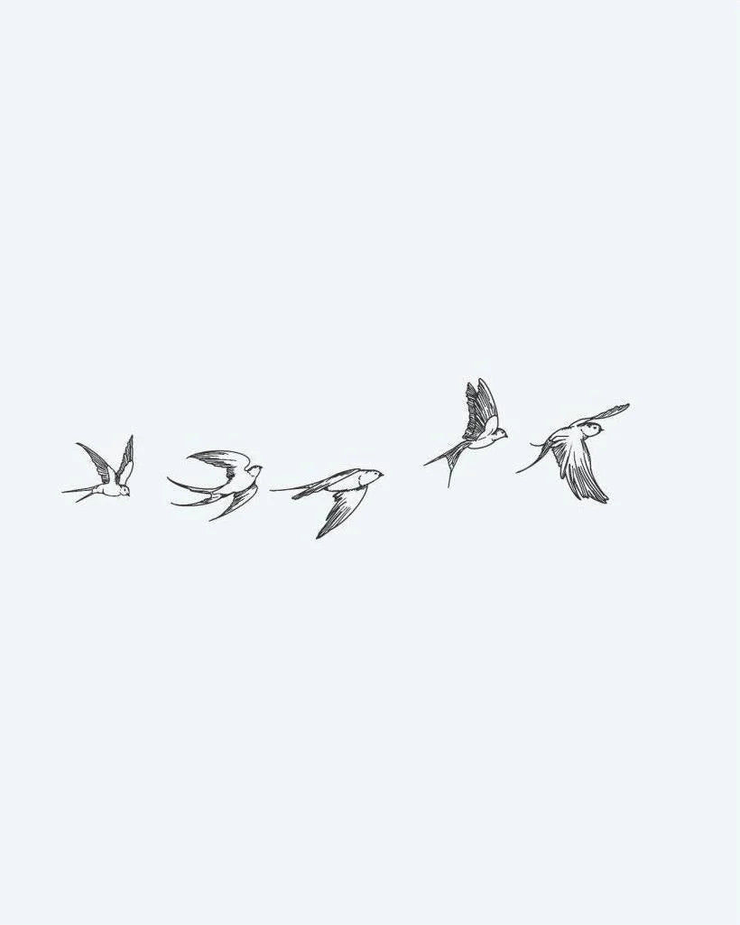 Flying Swallows