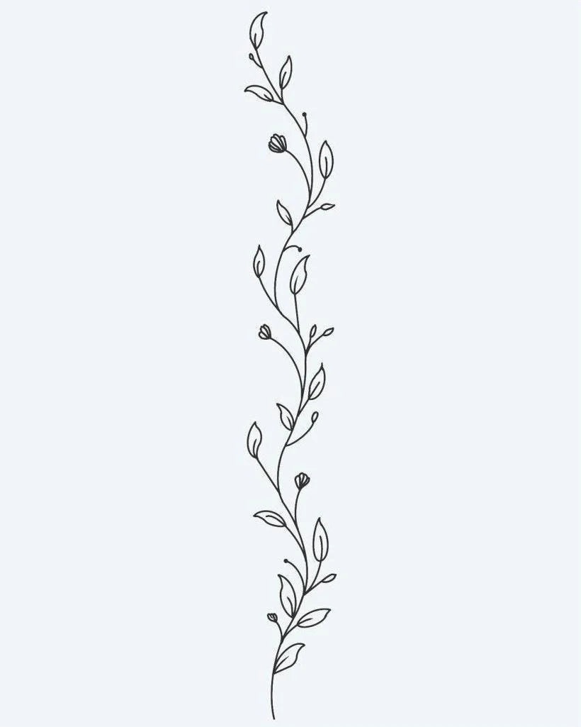 Botanical Vine
