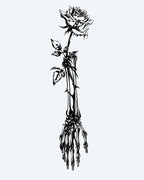 Skeleton Hand & Rose