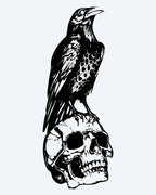 Raven on Skull