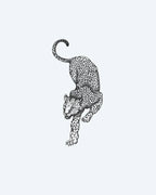 Prowling Leopard