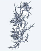 Roses & Thorns