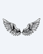 Angel Wings Pair