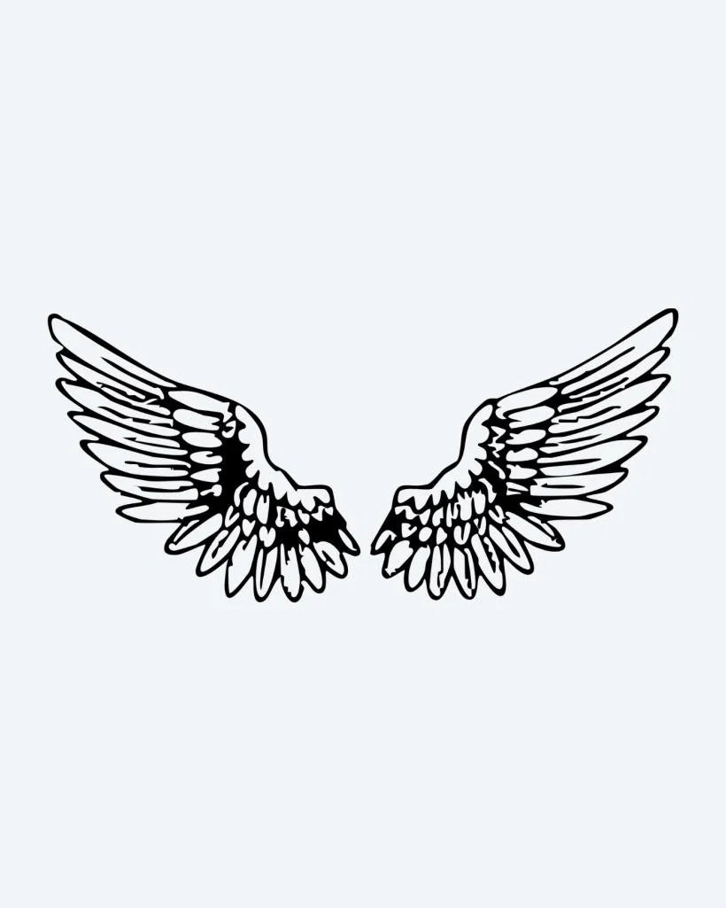 Angel Wings Pair