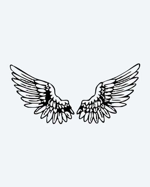 Angel Wings Pair