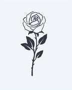 Single Stem Rose