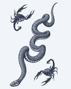 Snake & Scorpions