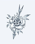 Rose & Arrow